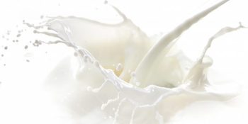 milk2