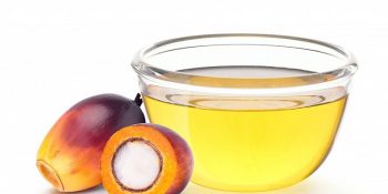 palmoil1