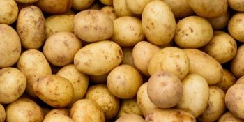 potatoes1